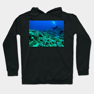 Red Sea Coral Reef Hoodie